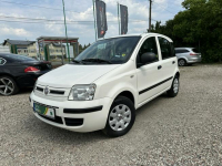 Fiat Panda Klimatyzacja/Serwis/Salon Polska/IIWŁ/Zamiana/Kredyt
