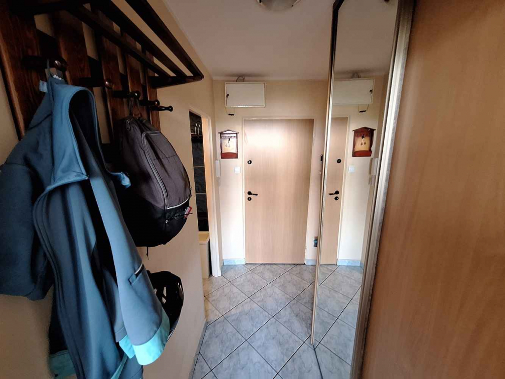 2pok, 31met, Okolice Gorlickiej PIWNICA/WINDA (Wrocław) Psie Pole - zdjęcie 10