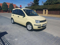 Fiat Panda 1.3 multiJett 2008 rok