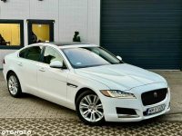 Jaguar XF 35t Prestige Długa Kościelna - zdjęcie 4