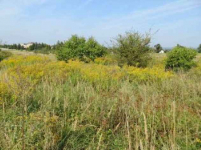 Syndyk sprzeda nieruchomość. Nowa Huta - zdjęcie 2