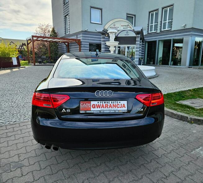 Audi A5 12/13r 177PS Navi Zadbany Rata800zł Śrem - zdjęcie 9