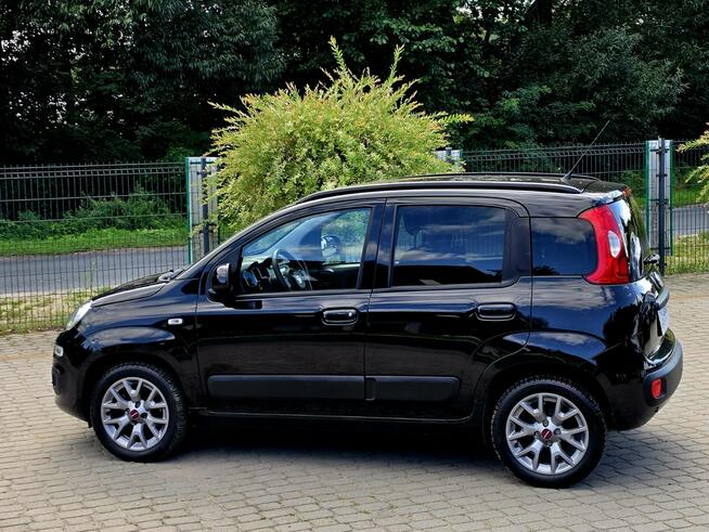 Fiat Panda 1.2 69KM | 36 tys.km | Bogate wyposażenie Skępe - zdjęcie 5