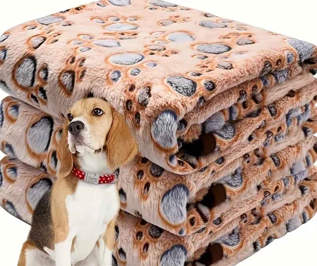 zbieram koce dla zwierząt do schroniska Bemowo - zdjęcie 2