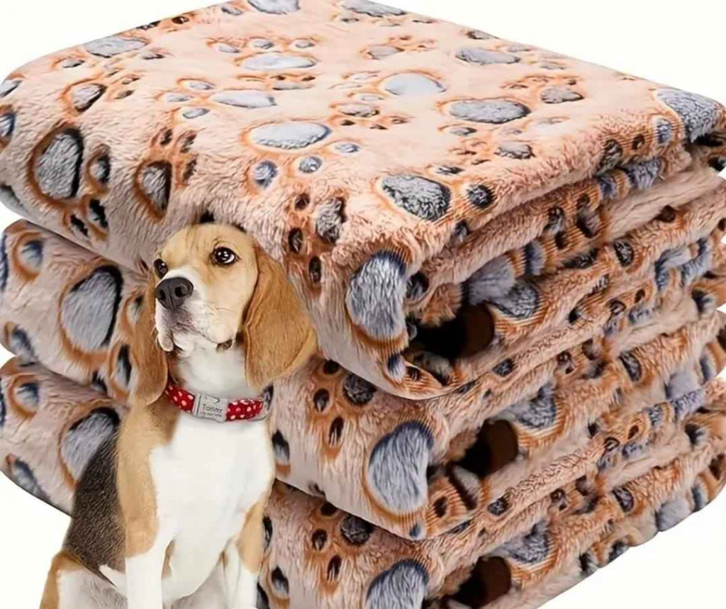 zbieram koce dla zwierząt do schroniska Bemowo - zdjęcie 2