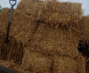 Sprzedam słomę dobrze zbita i zwiazana