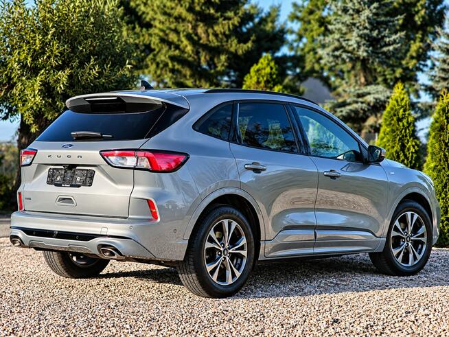 Ford Kuga Sadlno - zdjęcie 8