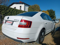 Škoda Octavia krajowa Chełm Śląski - zdjęcie 11