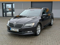 Škoda Superb Premium Edition Goworowo - zdjęcie 5