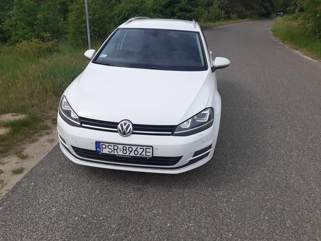 Vw golf dsg Środa Wielkopolska - zdjęcie 3