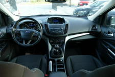 Ford Kuga Titanium! Niski Przebieg !  Gwarancja! Grójec - zdjęcie 5