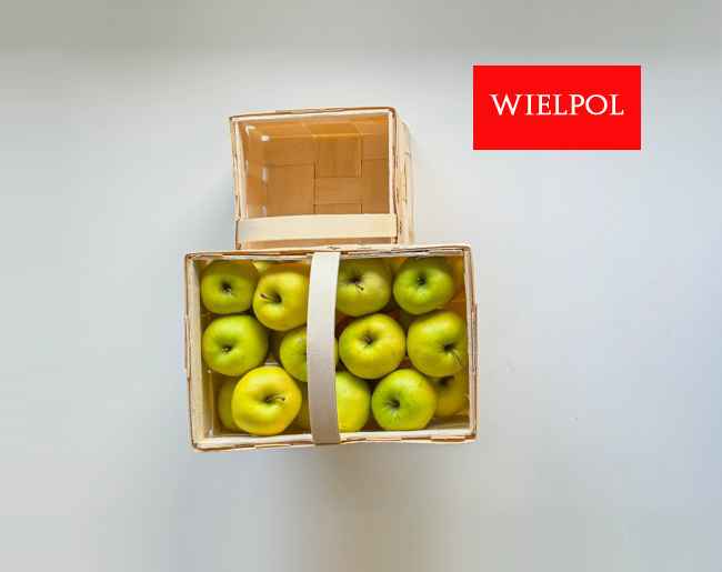 Opakowania do jabłek. Kosze do jabłek. Wielichowo - zdjęcie 11