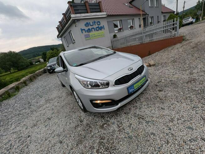 Kia Cee&#039;d 1,6 benzyna 135 KM Kamienna Góra - zdjęcie 1