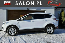 Ford Kuga Serwis ASO, hak, panorama dach Rydułtowy - zdjęcie 4