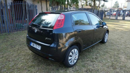 Fiat Punto zarejestrowany, ubezpieczony. Gwarancja. Polecam !!! Zielona Góra - zdjęcie 5