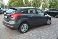 Hatchback GoldX 1,6 Benzyna 105KM ASO Forda Białystok - zdjęcie 9
