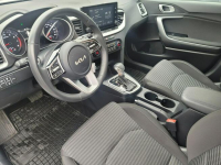 Kia Nowy Ceed 160KM/automat/1.5 Turbo/21 tys km przebiegu Toruń - zdjęcie 11