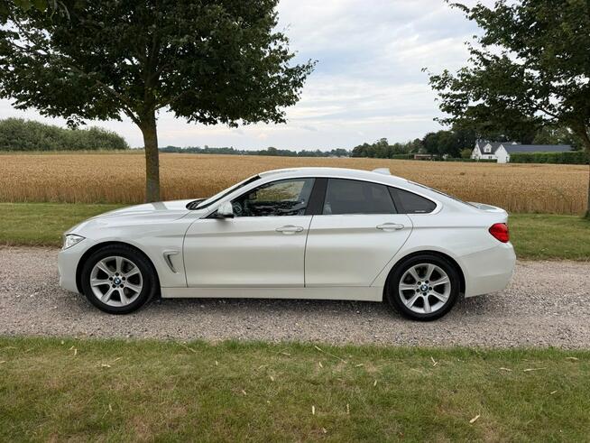 BMW 420 Sadlno - zdjęcie 5