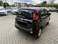 Fiat Panda 1,2 69KM  Klimatyzacja Orzech - zdjęcie 7