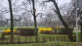 wynajmę 2 pokoje, antresola, parking, PARK Grodzisk Mazowiecki - zdjęcie 10