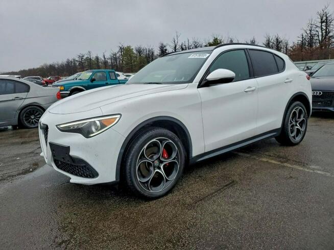 Alfa Romeo Stelvio / 2.0 280KM / 4x4 / Niski przebieg / Tarnów - zdjęcie 1