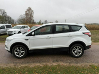 Ford Kuga 2019 Facelift Titanium 1.5 EcoBoost AWD 4x4175KM Automat Gąsocin - zdjęcie 2