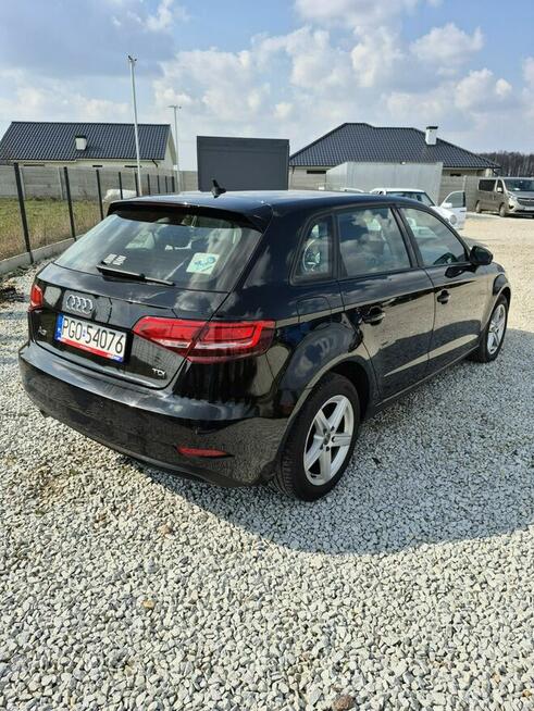Audi A3 Grodzisk Wielkopolski - zdjęcie 8