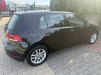 Volkswagen Golf Zielona Łąka - zdjęcie 3