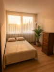2pok, 50met, Okolice Romanowskiego BALKON/PIWNICA (Wrocław) Psie Pole - zdjęcie 3