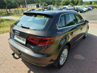 Audi A3 1,6 tdi Sportback 110KM z bardzo niskim przebiegiem 127 tyskm! Cielcza - zdjęcie 10