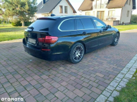 BMW Seria 5 520d Kielce - zdjęcie 10