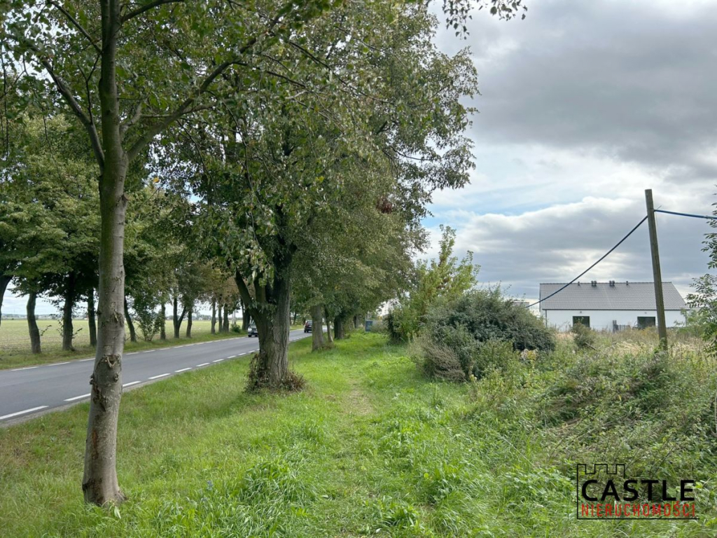 Działka budowlana – super miejsce do życia Dopiewiec - zdjęcie 1