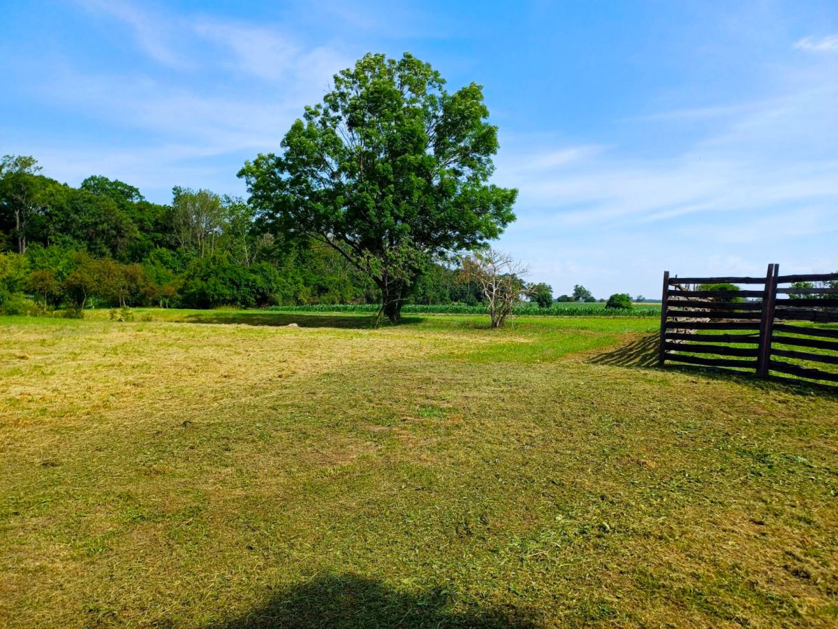 Działka inwestycyjna, usługowa lub mieszkaniowa pr Młodasko - zdjęcie 1
