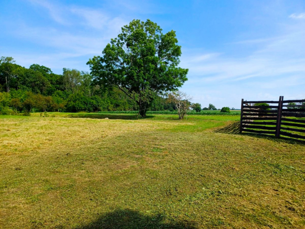 Działka inwestycyjna, usługowa lub mieszkaniowa pr Młodasko - zdjęcie 1