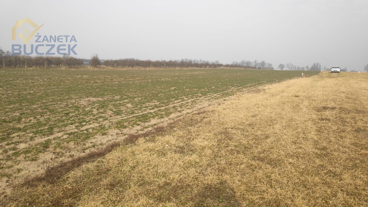 Sprzedam działki rolne z WZ w Strzyżewie Strzyżew - zdjęcie 3