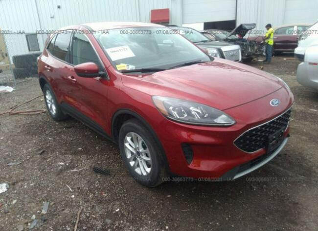 Ford Kuga 2020, 1.5L, 4x4, po gradobiciu Warszawa - zdjęcie 2