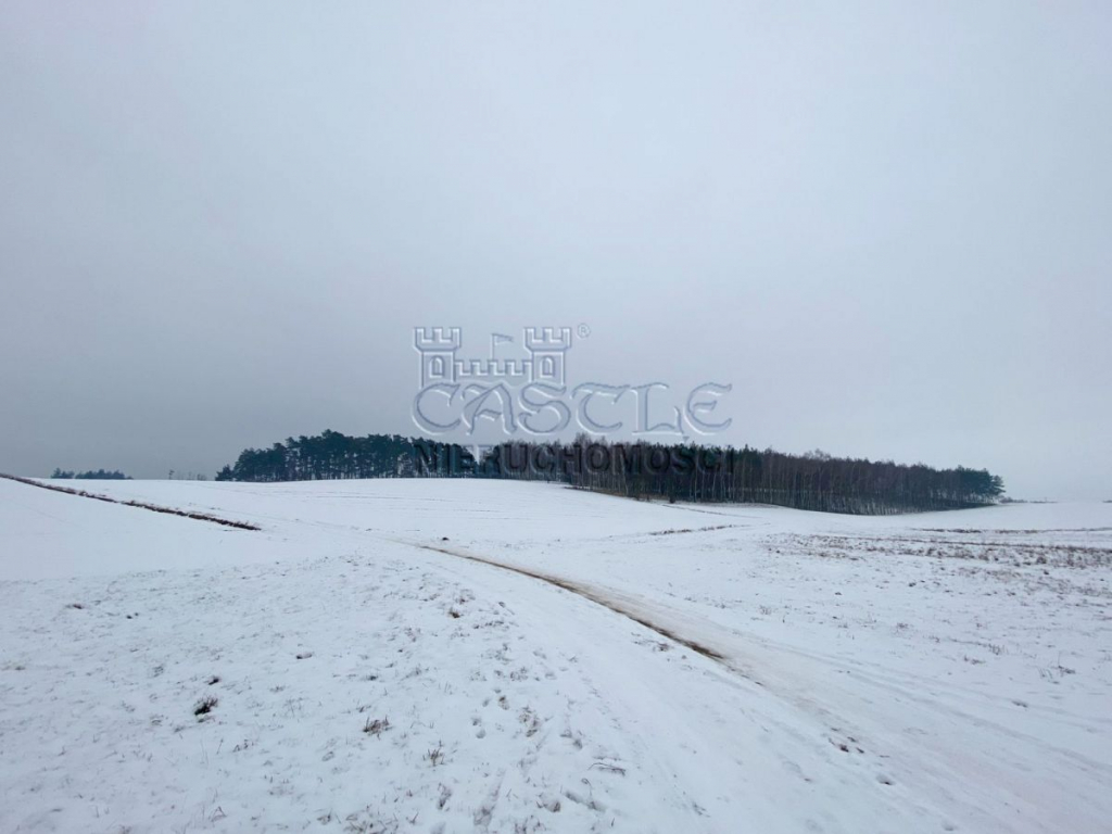 Jezioro, spokój i …..widok jak marzenie!!! Głodowo - zdjęcie 7