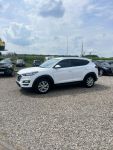 Hyundai Tucson IX35, Hybryda DiESEL, SERWISOWANY, AUTOMAT Słupsk - zdjęcie 3