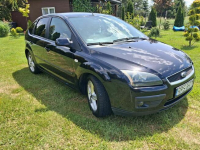Ford focus 1.6 cdti Dębica - zdjęcie 2