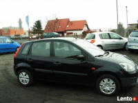 Motoryzacja / Ford Fiesta / Września - zdjęcie 3