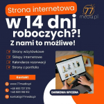 Strona internetowa w 14 dni –szybko, skutecznie i bez ukrytych kosztów Fabryczna - zdjęcie 1