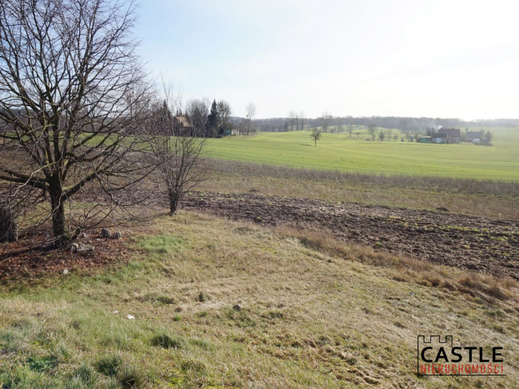 Działka z widokiem na jezioro! Sieraków - zdjęcie 8