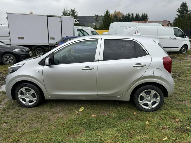 1,0i 67KM Kia Picanto Vision Automatyczna Skrzynia Biegów Tempomat Turek - zdjęcie 8