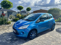 Ford Ka ( Fiat 500 ) 141 tys km Klimatyzacja Bardzo Ładny Super Cena Szerominek - zdjęcie 6