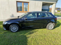 Audi A3 1.6 Tdi 110KM Sportback 133 tyś km Sieraków - zdjęcie 8