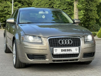 Audi A3 8P 2005r 2.0 TDI BKD 140KM Automat DSG Klimatronic Xenon Wijewo - zdjęcie 6