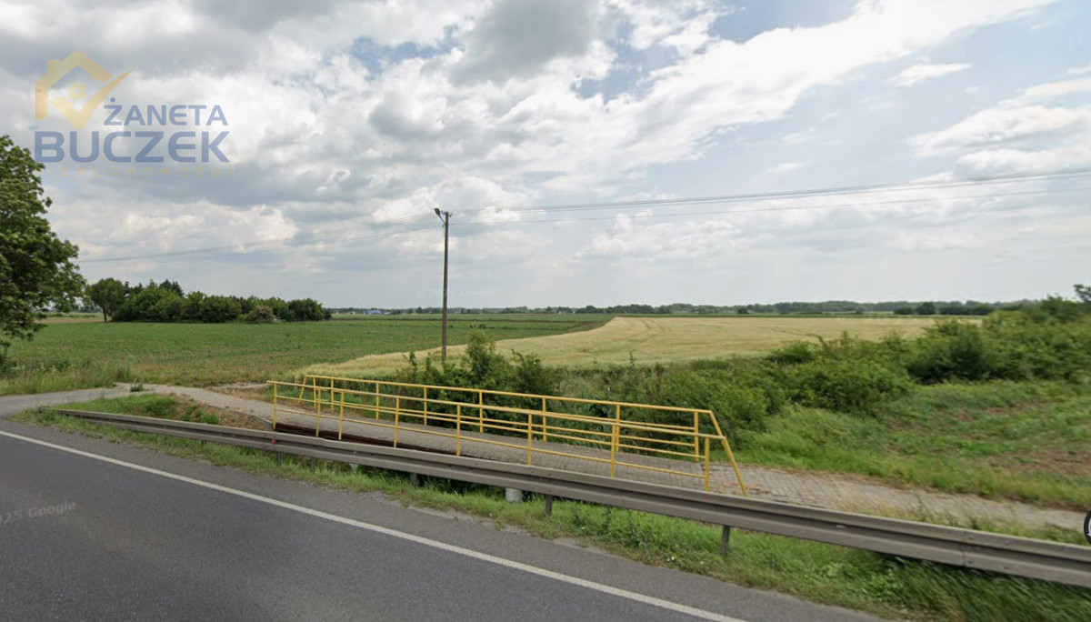 Sprzedam działkę rolną w Młodzieszynie przy DK50 Młodzieszyn - zdjęcie 1