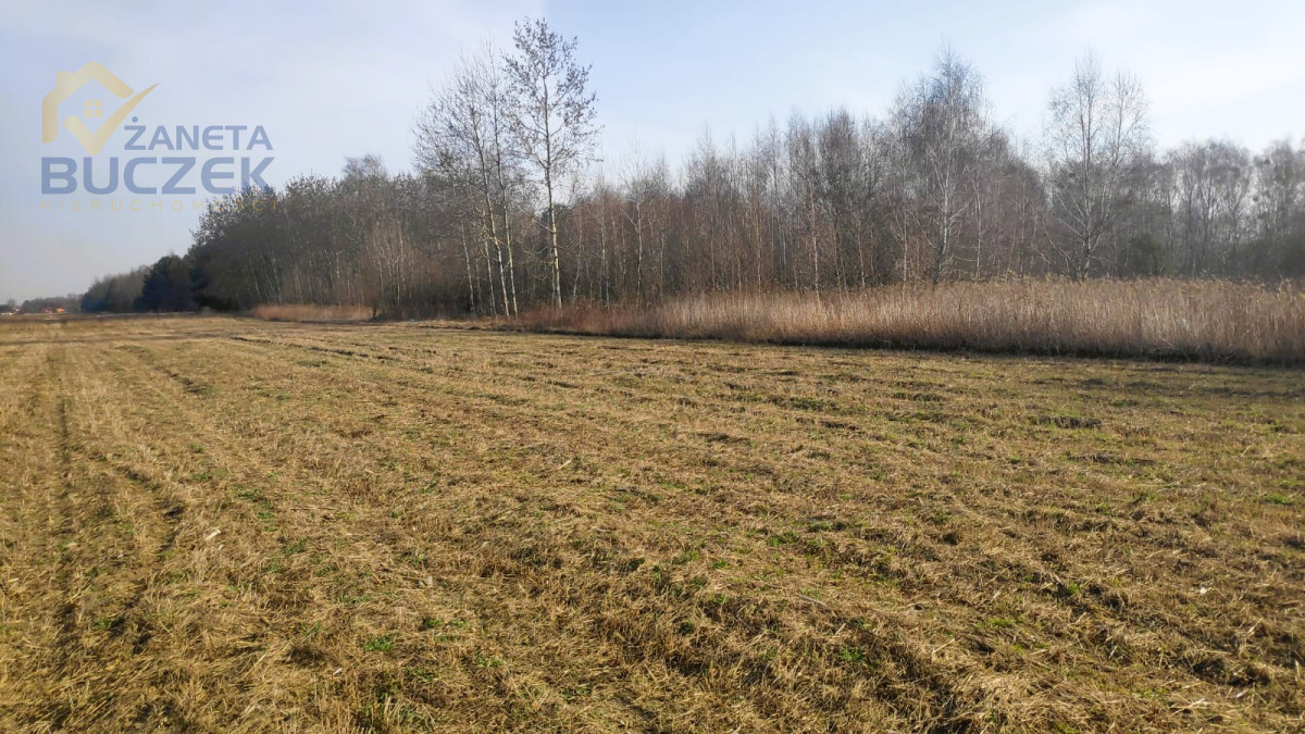 Sprzedam działki budowlane w Adamowej Górze Adamowa Góra - zdjęcie 2