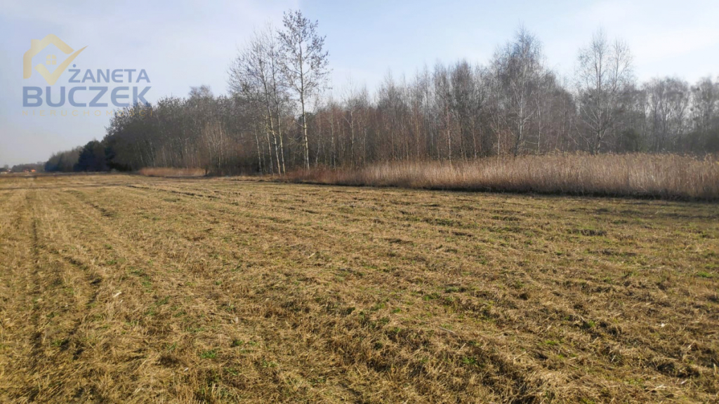 Sprzedam działki budowlane w Adamowej Górze Adamowa Góra - zdjęcie 2