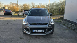 Kuga Szczecin - zdjęcie 2